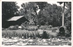 Fountain of Youth, St. Augustine, Florida Postcard Postcard Postcard