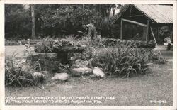 Old Cannon at Fountain of Youth, St. Augustine Florida Postcard Postcard Postcard