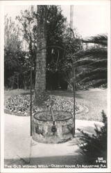 Old Wishing Well, Oldest House, St. Augustine Postcard