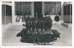 Tanned Alligator Skins, Ladies Bags, Casper's Alligator Jungle Postcard