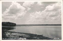 St. Johns River Palatka Florida Postcard Postcard Postcard