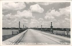 Memorial Bridge Over St. Johns River Palatka, FL Postcard Postcard Postcard