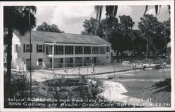 Natural Sulphur Springs Pool, Green Cove Springs, FL Florida Postcard Postcard Postcard