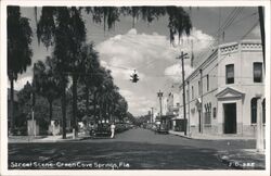 Street Scene with Palm Trees, Green Cove Springs, Florida Postcard Postcard Postcard