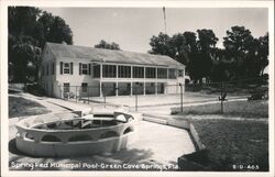 Spring Fed Municipal Pool Green Cove Springs Florida Postcard