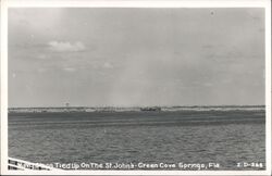 Navy Ships Tied Up on the St. Johns River Postcard