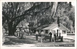 Playing Shuffleboard in Eva Lyon Park Crescent City, FL Postcard Postcard Postcard