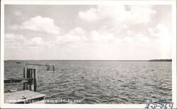 Lake Crescent, Crescent City, Florida Postcard Postcard Postcard