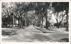 Prospect Street Looking North, Crescent City, Florida Postcard