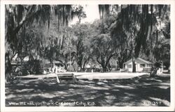 View In Eva Lyon Park Crescent City, FL Postcard Postcard Postcard