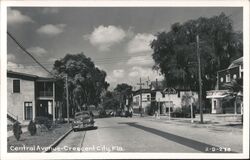 Central Avenue, Crescent City, Florida Postcard Postcard Postcard