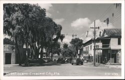 Crescent City, Florida Street Scene Postcard Postcard Postcard