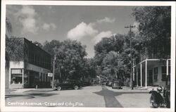 Central Avenue - Crescent City, Florida - Vintage Postcard Postcard Postcard