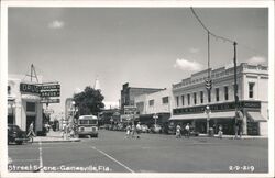 Downtown Gainesville Florida Street Scene Postcard Postcard Postcard