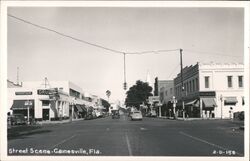 Gainesville, Florida Street Scene Postcard Postcard Postcard