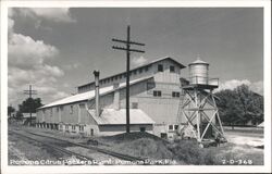 Pomona Citrus Packers Plant - Pomona Park, Florida Postcard Postcard Postcard