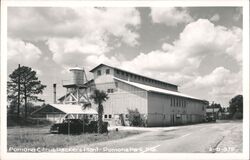 Pomona Citrus Packers Plant - Pomona Park, Florida Postcard Postcard Postcard