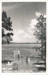 Gold Head Branch State Park Beach and Lake View Postcard