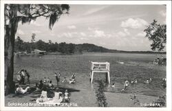 Gold Head Branch State Park Beachgoers Swimming Boating Postcard