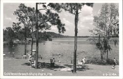 Gold Head Branch State Park, Florida - Swimming Postcard