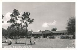 Gold Head Branch State Park, Florida Keystone Heights, FL Postcard Postcard Postcard