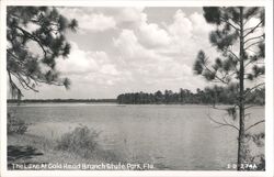 Gold Head Branch State Park Lake View Keystone Heights, FL Postcard Postcard Postcard