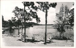 People swimming at a lake Keystone Heights, FL Postcard Postcard Postcard