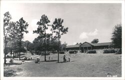 Park Recreation Area with Lodge Keystone Heights, FL Postcard Postcard Postcard