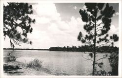 Boating on Lake Talquin, Florida Tallahassee, FL Postcard Postcard Postcard