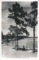 Vintage Folks Enjoying a Lake Beach Day Keystone Heights, FL Postcard Postcard Postcard