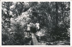 Four People on a Wooden Plank Bridge in Woods Keystone Heights, FL Postcard Postcard Postcard