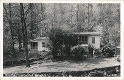 Mountain View Cottage, Trees, and Lawn Postcard