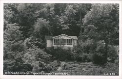 Hillcrest Cottage at Tapoco Lodge North Carolina Postcard Postcard Postcard