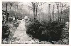 Lake-in-the-Sky Lodge Grounds, Lake Santeetlah Postcard