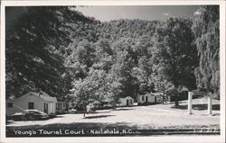 Young's Tourist Court Cabins, Nantahala, NC North Carolina Postcard Postcard Postcard