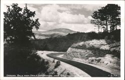 Gregory Bald from Deals Gap Highway near Calderwood Postcard