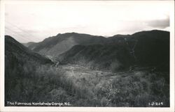 Nantahala Gorge, North Carolina Topton, NC Postcard Postcard Postcard