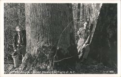 Two Men in Joyce Kilmer Memorial Forest Postcard