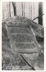 Joyce Kilmer Memorial Forest, Near Robbinsville, NC Postcard