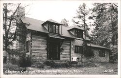 Stephens Cottage, Beersheba Springs, TN - Vintage Log Cabin Home Postcard