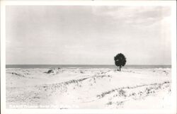 Beach Scene Near Port St. Joe, Florida Port Saint Joe, FL Postcard Postcard Postcard