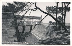 Castillo de San Marcos moat, St. Augustine, Florida Postcard