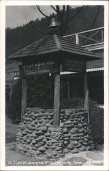 Ye Olde Wishing Well, Gatlinburg, TN - Shrine Hospitals Postcard