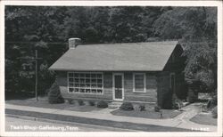 Tsali Shop, Gatlinburg, TN - Vintage Log Cabin Store Postcard