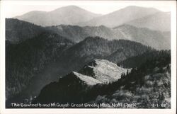 Sawteeth and Mt. Guyot, Great Smoky Mountains National Park Postcard