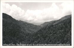 Valley of the Little Pigeon River, Great Smoky Mountains National Park North Carolina Postcard Postcard Postcard