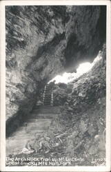 Arch Rock Trail Up Mt. LeConte, Great Smoky Mountains Postcard