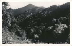 Newfound Gap Highway, Great Smoky Mountains National Park North Carolina Postcard Postcard Postcard