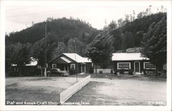 Pat and Anna's Craft Shop and Tourist Cabins Postcard