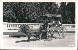 Gatlinburg TN Street Car - Ox-drawn Carriage Postcard